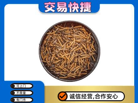 揭阳市普宁高价回收散虫草